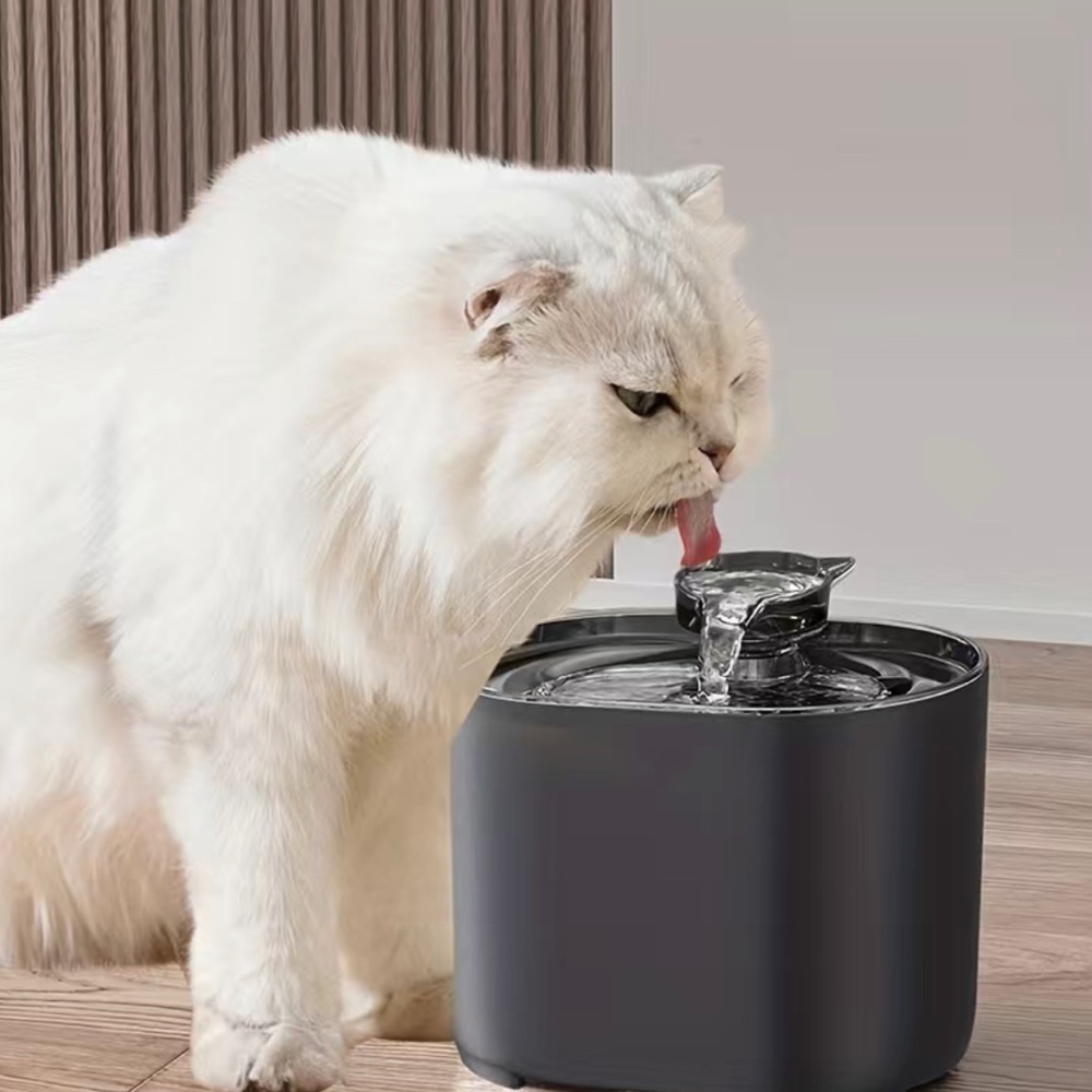 Cat water fountain